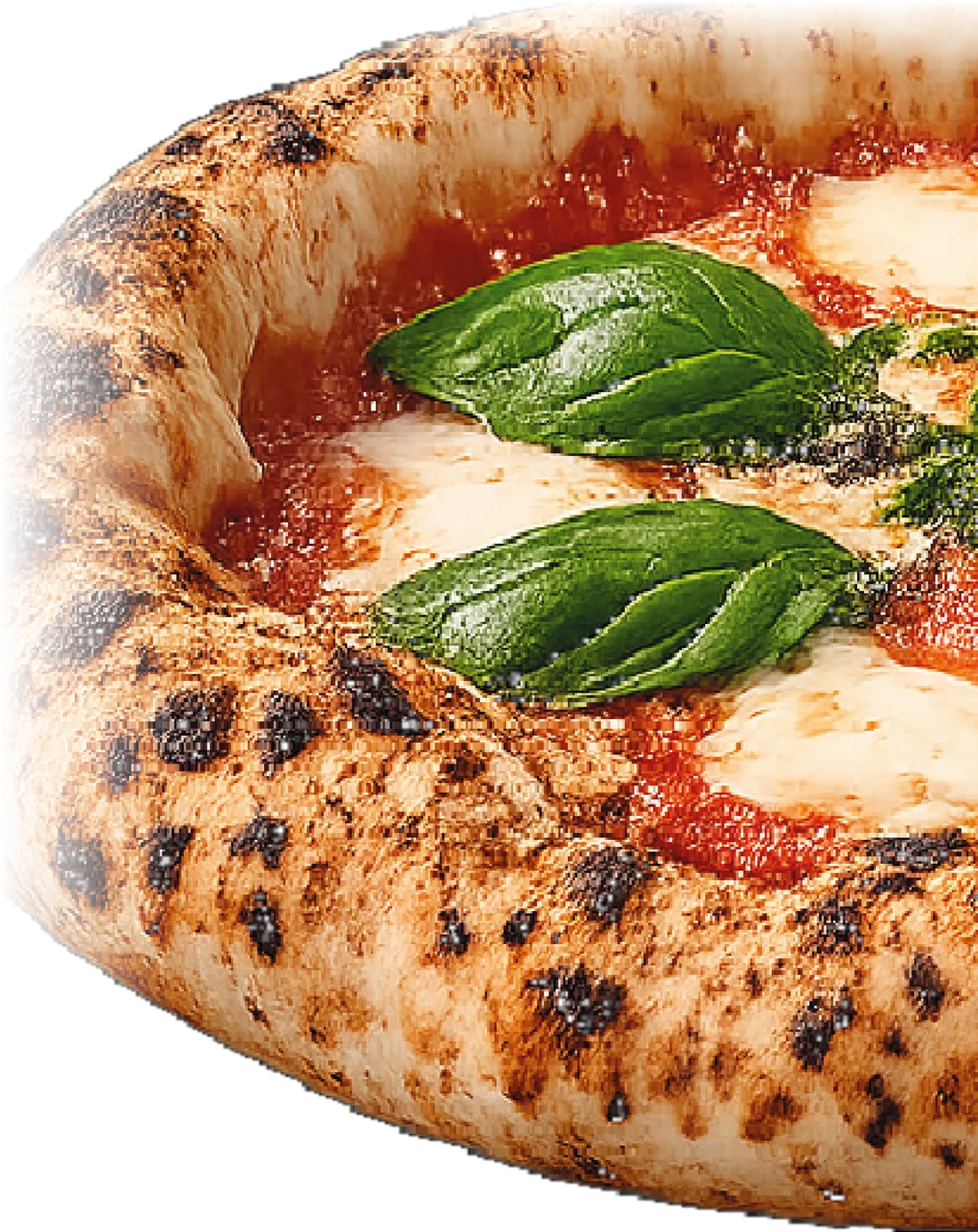 Pizza Margherita aus dem Steinofen